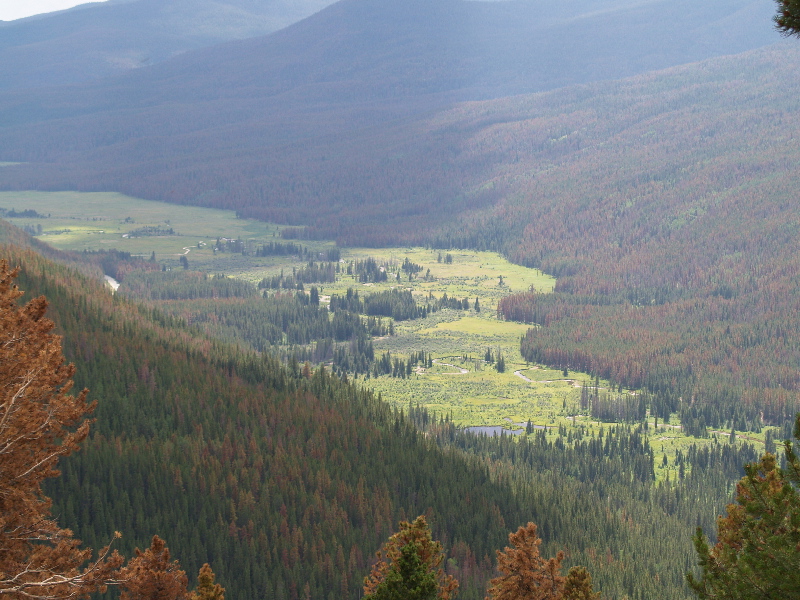 image6