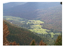 thumbnail6