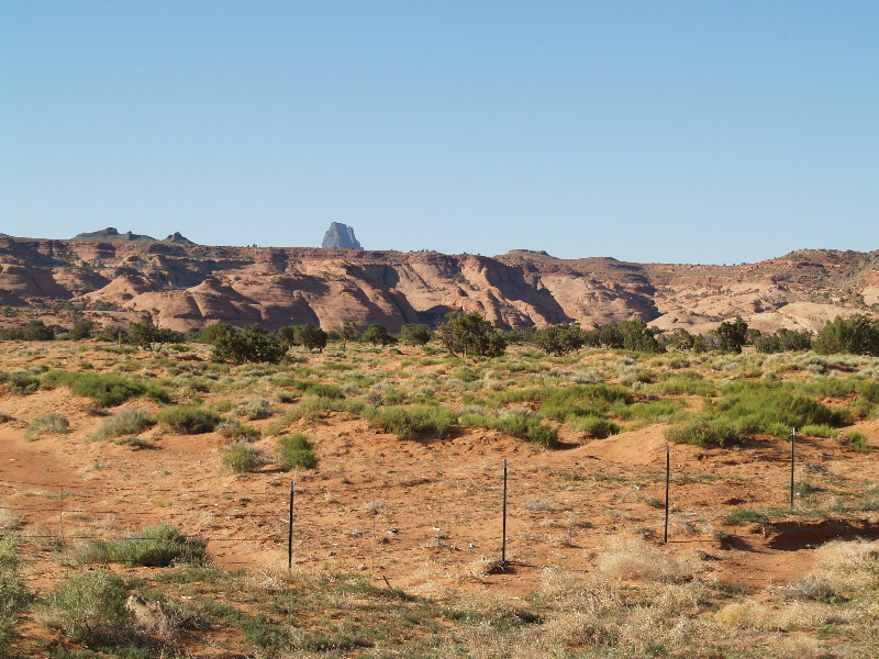 image14