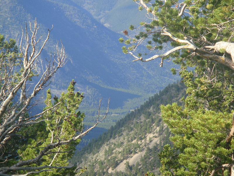 image18